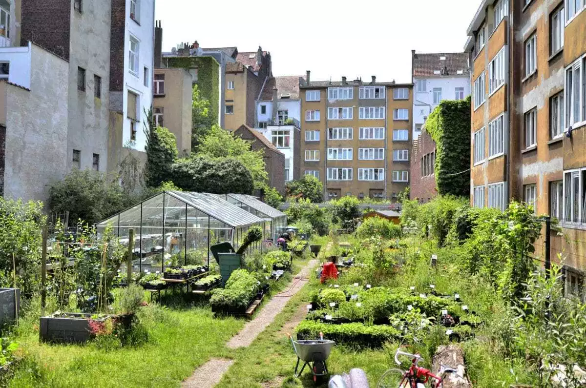 Nature-based Solutions in Urban Planning 13